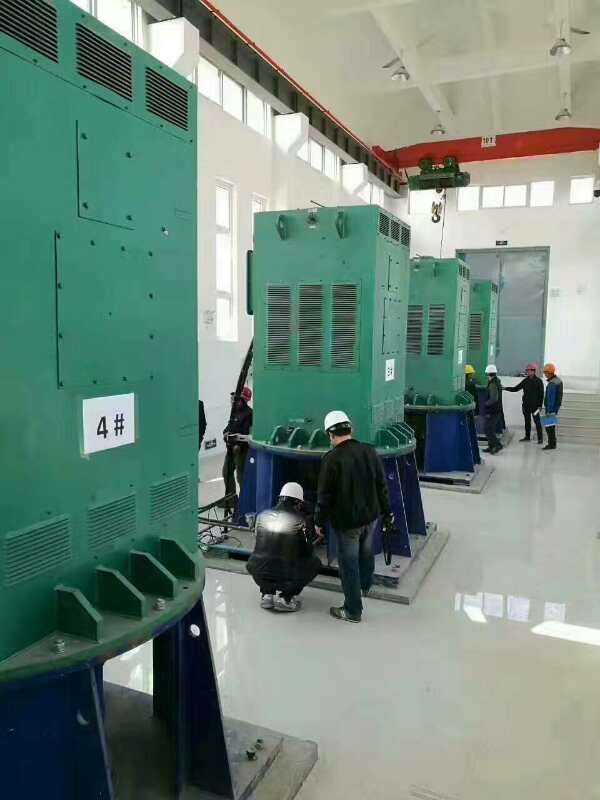 清河门某污水处理厂使用我厂的立式高压电机安装现场生产厂家