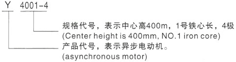 西安泰富西玛Y系列(H355-1000)高压清河门三相异步电机型号说明